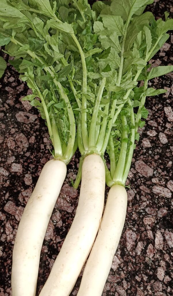 How to make Radish leaves Bhaji- Mooli Saag